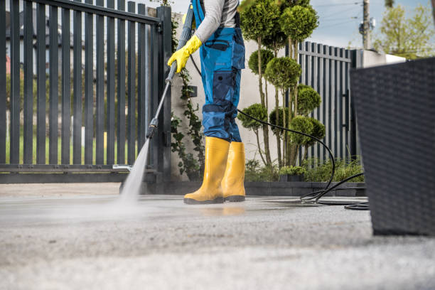 Best Pressure Washing Siding  in Craig, AK