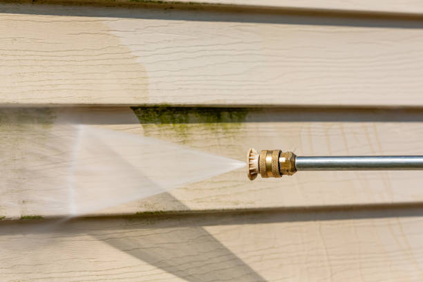 Best Local Pressure Washing Services  in Craig, AK